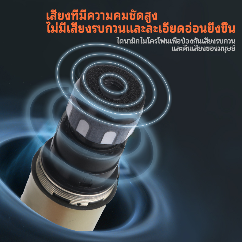 RAYHAYES ไมโครโฟนไร้สาย Original Dual Handheld Professional ไมโครโฟนคาราโอเกะพร้อมตัวรับสัญญาณ