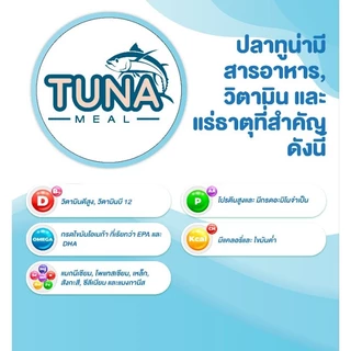 ปลาทูน่าป่นแท้โปรตีน70%ทำจากปลาทูน่าสดเหมาะกับสัตว์ทุกชนิดที่ต้องการโปรตีนสูงสร้างกล้ามเนื้อกระตุ้นเจริญอาหาร