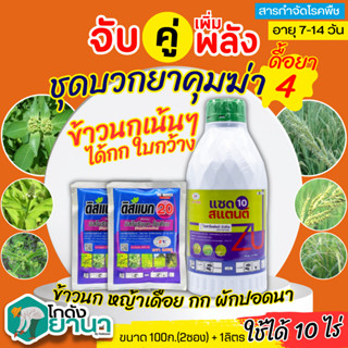 🌾 ชุดบวกยาคุม4 แซดสแตนด์+ดิสแบค ขนาด 1ลิตร+100กรัมx2ซอง กำจัดหญ้าข้าวนก หญ้าเดือย กก ผักปอดนา