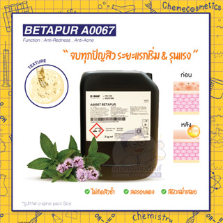 BETAPUR สารสกัดจากใบมิ้นต์ป่า ประเทศชิลี ช่วยควบคุมและปรับสมดุลผิว ช่วยลดขนาดรูขุมขนและความมันอย่างเห็นได้ชัดลดสิวอุดตัน