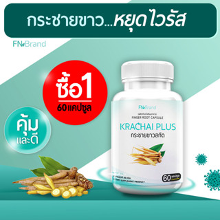 🔥ส่งฟรี! ส่งไว🔥 FN Krachai Plus กระชายขาวสกัด (1 กระปุก 60 แคปซูล)  กระชายขาวแคปซูล กระชายขาว สารสกัดพลูคาวและขิง