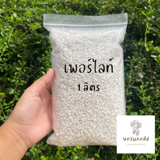 เพอร์ไลท์ (Perlite) พร้อมส่ง วัสดุปลูก แคคตัส ไม้อวบน้ำ ไม้ฟอกอากาศ ไม้ดอก ไม้ประดับ ดินปลูก