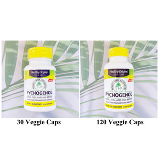 เปลือกสนฝรั่งเศสสกัด Pycnogenol 150 mg 30 Veggie Caps or 120 Veggie Caps (Healthy Origins®)