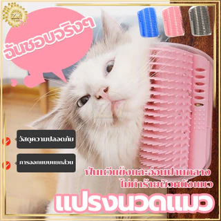 แปรงนวดแมว ที่นวดแมวแปรงขนแมว หวีแมว ของเล่นแมว ออกแบบแยกชิ้นเพื่อทำความสะอาดง่าย