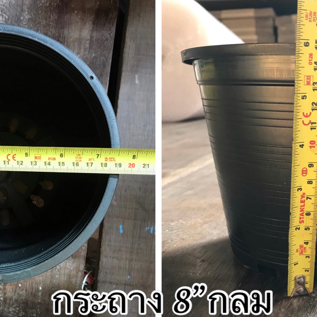 A02 กระถางแคตัส  ต้นไม้ ชุดละ 25 / 50 ใบ มีหลายขนาดหลายสีให้เลือก ราคาถูก โรงงานผลิตเอง - รูปที่ 3