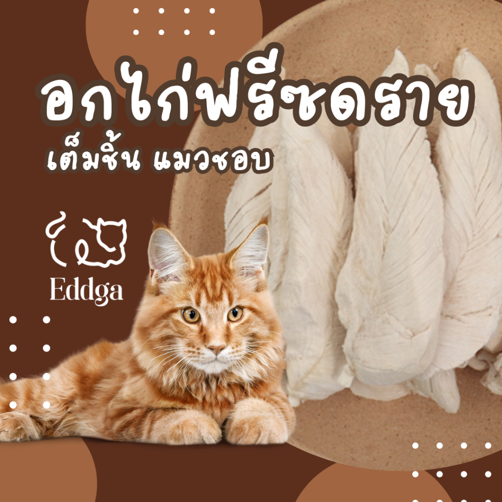จัดโปร 1แถม1 ฟรีซดรายแมว ขนมหมา ไก่ฟรีซดรายขนมแมว ขนมสุนัข อกไก่ฟรีซดราย ฟรีซดราย pet snack อกไก่