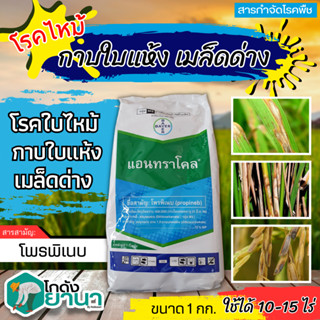 🌾 แอนทราโคล (โพรพิเนบ) ขนาด 1กิโลกรัม ป้องกันกำจัดโรคใบจุดสีน้ำตาลที่มีสาเหตุมาจากเชื้อรา