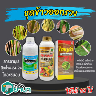 🌾 ชุดข้าวออกรวง โพซิตรอน+เกรทพาวเวอร์(4-24-24)+ไดแซด ขนาด 1ลิตรx3ขวด ป้องกันใบไหม้ เมล็ดด่าง แมลง เร่งแป้ง