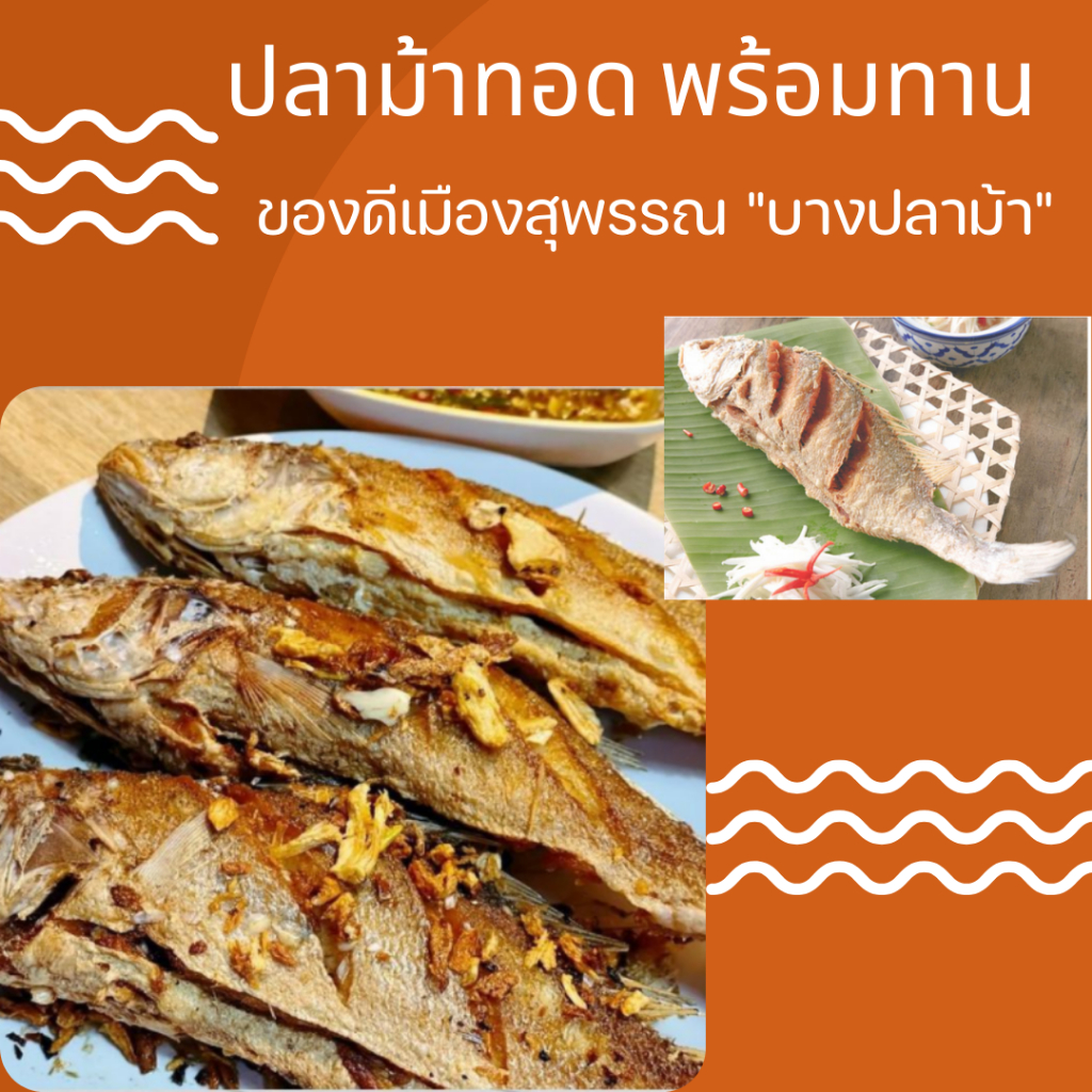 ปลาม้า ปลาแดดเดียว ปลาธรรมชาติ ขนาด 2-3 ตัว/กก.(นน.ก่อนทอด) ทอดพร้อมทาน ส่งถึงบ้านพร้อมความอร่อย