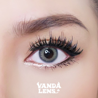 VANDA LENS คอนแทคเลนส์สายฝอ รุ่น California gray (มีค่าสายตามากกว่านี้ สอบถามก่อนได้ค่ะ)