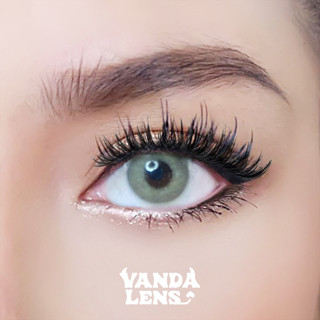 VANDA LENS คอนแทคเลนส์สายฝอ รุ่น Jasper Brown (ใส่ค่าสายตาในหมายเหตุ)