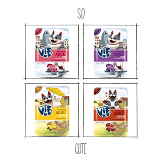 VIF อาหารเปียกสำหรับสุนัข Felina Canino VIF Wet Dog Food 75 กรัม x 12 ซอง