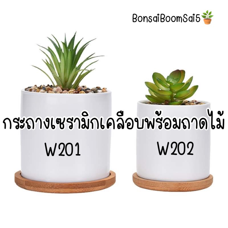 (W201-W202) กระถางเซรามิกเคลือบพร้อมถาดรองไม้ กระถางมินิมอล สำหรับแคตตัส และต้นไม้จิ๋ว ทรงวงกลมสูง