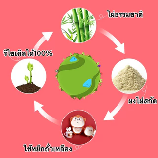 ชุดจานข้าวเด็ก จานเด็ก จานเยื่อไผ่ ชุดช้อนส้อมเด็ก