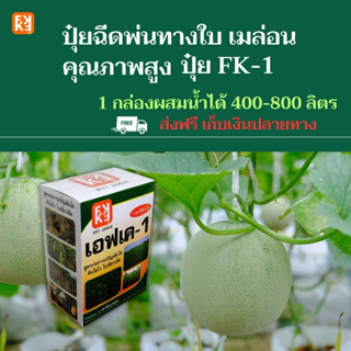 เมล่อน โตไว ใบเขียว ผลใหญ่ ผลผลิตดี ฉีดพ่นปุ๋ย FK-1 ต้นทุนต่อไร่ถูกกว่าปุ๋ยเม็ด 4เท่า เพิ่มผลผลิตสูงสุด 20เปอร์เซ็นต์