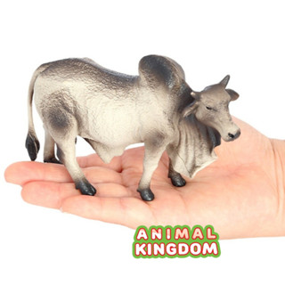 Animal Kingdom - โมเดลสัตว์ วัวบราห์มัน เทา ขนาด 13.00 CM (จากหาดใหญ่)