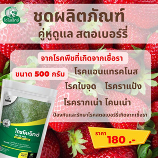 กำจัดโรคพืชที่เกิดจากเชื้อรา ใน สตอร์เบอร์รี เร่งฟื้นฟูจากการเข้าทำลายของเชื้อราไตรโครเร็กซ์ ปุ๋ยน้ำอะมิโน โดยไดโนเร็กซ์