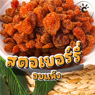 สตอเบอร์รี่อบแห้ง สดใหม่ จากเชียงใหม่