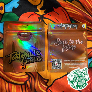 เมล็ดกัญชา Tastebudz Genetics Back to the Future Auto Cannabis Seeds (Pack of 3)