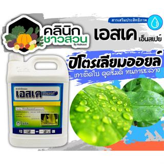 🥬 เอสเค เอ็นสเปรย์ บรรจุ 5ลิตร สารจับใบปิโตเลี่ยมออยล์