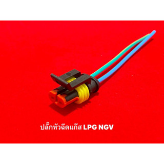 ปลั๊กหัวฉีดแก๊ส LPG/NGV