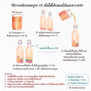 ผ้าคลุมโหลหมักคอมบูชา ผ้าคอตตอน เย็บเก็บขอบ ขนาด 25x25 เซนติเมตร