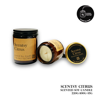 05-Scentsy Citrus -Scented Soy Candle กลิ่นหอมส้มที่หวาน สดชื่น The scent of sweet citrus &amp; peppermint 45/100/220G