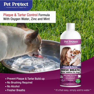 Pet Protect Plaque & Tartar Water Additive น้ำยาดับกลิ่นปาก ใช้ผสมน้ำดื่ม สูตรกำจัดคราบหินปูน ลดกลิ่นปาก