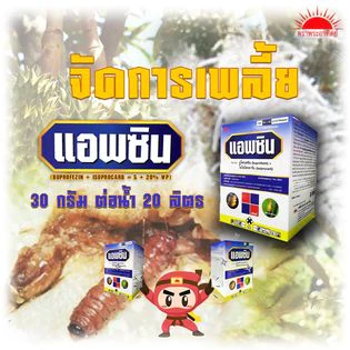 📌📌แอพซิน📌📌ตราพระอาทิตย์ กำจัดและป้องกัน คุมไข่ เพลี้ยกระโดด และเพลี้ยต่างๆ ตายเรียบ ขนาด 1 กิโลกรัม