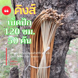 เบ็ดปักคันนา 120 ซม. 50 คัน เบ็ดไม้ไผ่ เบ็ดธงเบ็ดปัก เบ็ดปักคันโค้ง (เบ็ด120ซม50คัน)