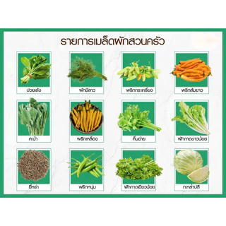 🔥 [รวมฮิต 5แถม 1] 🔥 เมล็ดพันธุ์ผักสวนครัวประจำบ้าน ปลูกง่าย โตไว 📌สินค้าราคาคุ้มค่าได้มาตรฐาน📌 ✅อัตราการงอกและรอดสูง✅