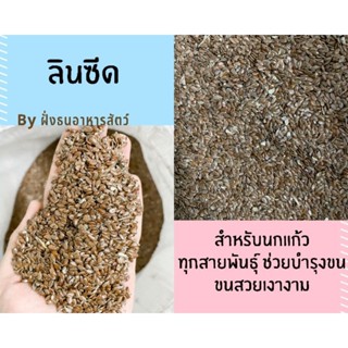 ลินซีด linseed เกรดนำเข้า เกรดA เป่าฝุ่น สำหรับนก***แบ่งบรรจุ  🔥พร้อมส่ง🔥