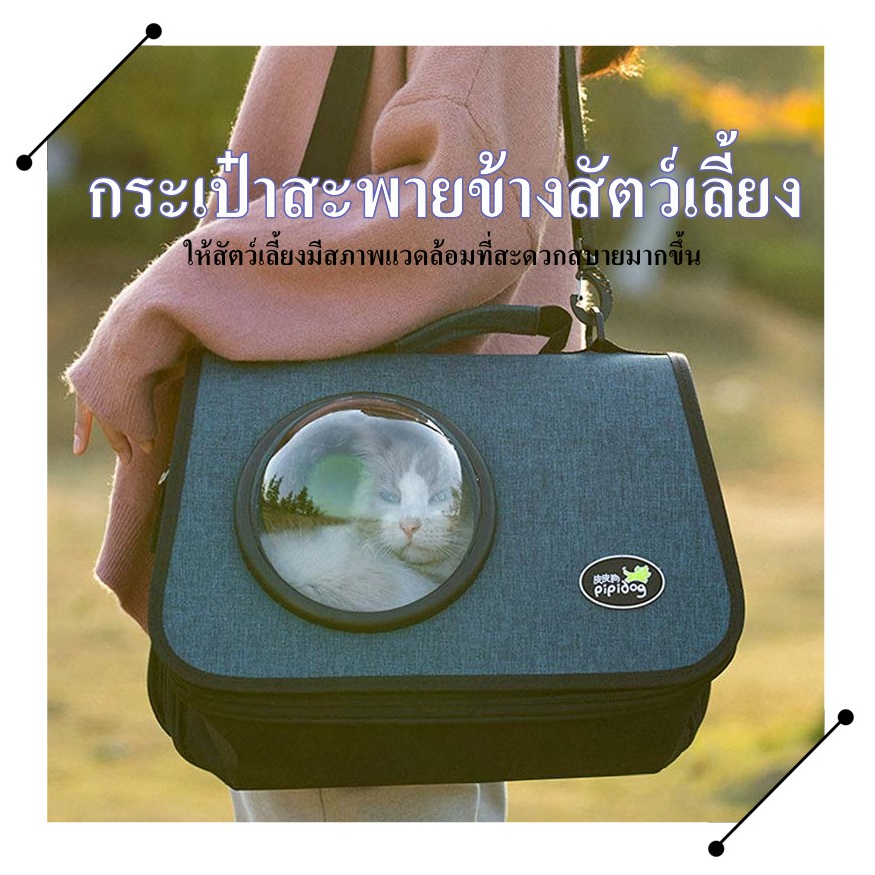กระเป๋าใส่สัตว์เลี้ยง กระเป๋าแคปซูลอวกาศ กระเป๋าใส่สัตว์เลี้ยง