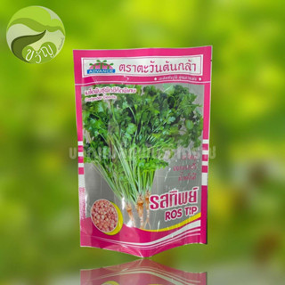 เมล็ดพันธุ์ผักชี รสทิพย์