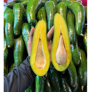 พร้อมส่ง‼️(1กิโลกรัม) อโวคาโด้034 อโวคาโดเวียดนาม แก่จัด 牛油果…