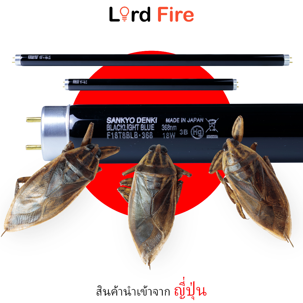 SANKYO DENKI หลอดไฟญี่ปุ่นเพื่อล่อแมลง Black Light Blue 36W (F36T8BLB･368) คลื่นความถี่สูง Black Lig