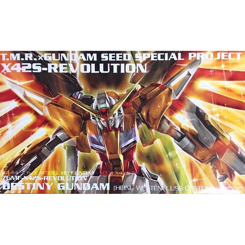 Hg 1/144 Destiny Gundam Heine Westenfluss Custom