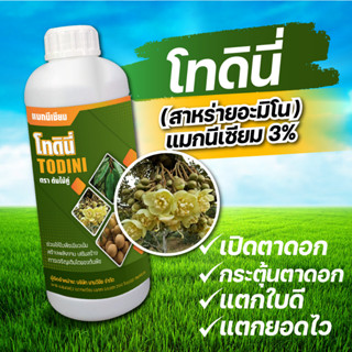 โทดินี่ สาหร่ายอะมิโน ขนาด 1 ลิตร (ฮอร์โมนพืช) ทำใบ ดึงดอก บำรุงผล เปิดตาดอก กระตุ้นตาดอก แตกใบดี แตกยอดไว