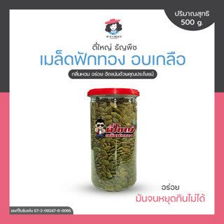 TEEYAI ตี๋ใหญ่ เมล็ดฟักทอง อบเกลือหิมาลายัน เมล็ดฟักทองอบ pumpkin seed ถั่ว ธัญพืช ขนมทานเล่น 500 กรัม