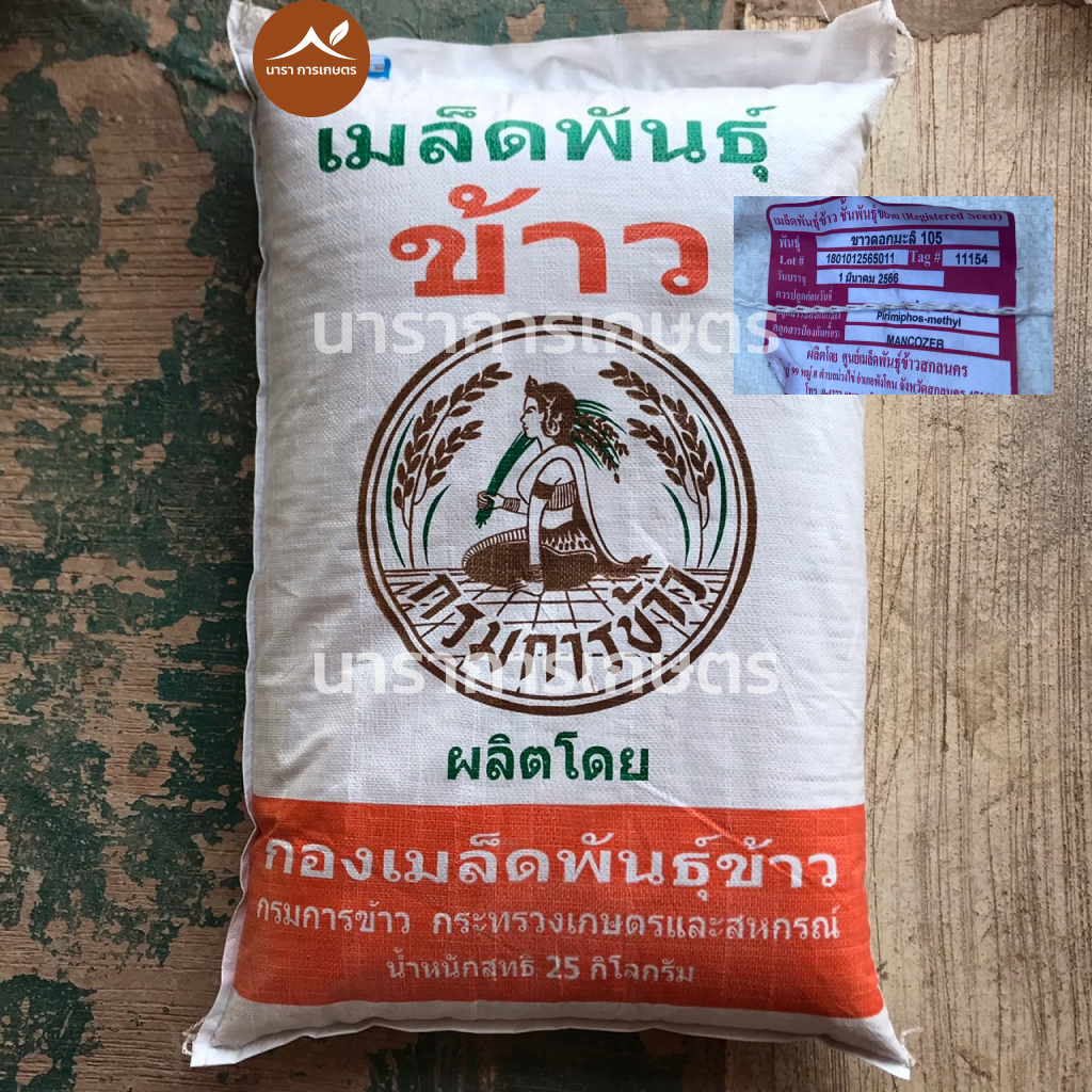 เมล็ดพันธุ์ข้าวปลูก"ข้าวจ้าวหอมมะลิ กข15 (มะลิ105)" พันธุ์ปี2566 ตรากรมการข้าว กระสอบละ 25 กิโลกรัม