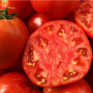 เมล็ดพันธุ์ มะเขือเทศ บีฟสเต็ก Red Beefsteak Tomato Seed บรรจุ 60 เมล็ด คุณภาพดี ของแท้ 100%
