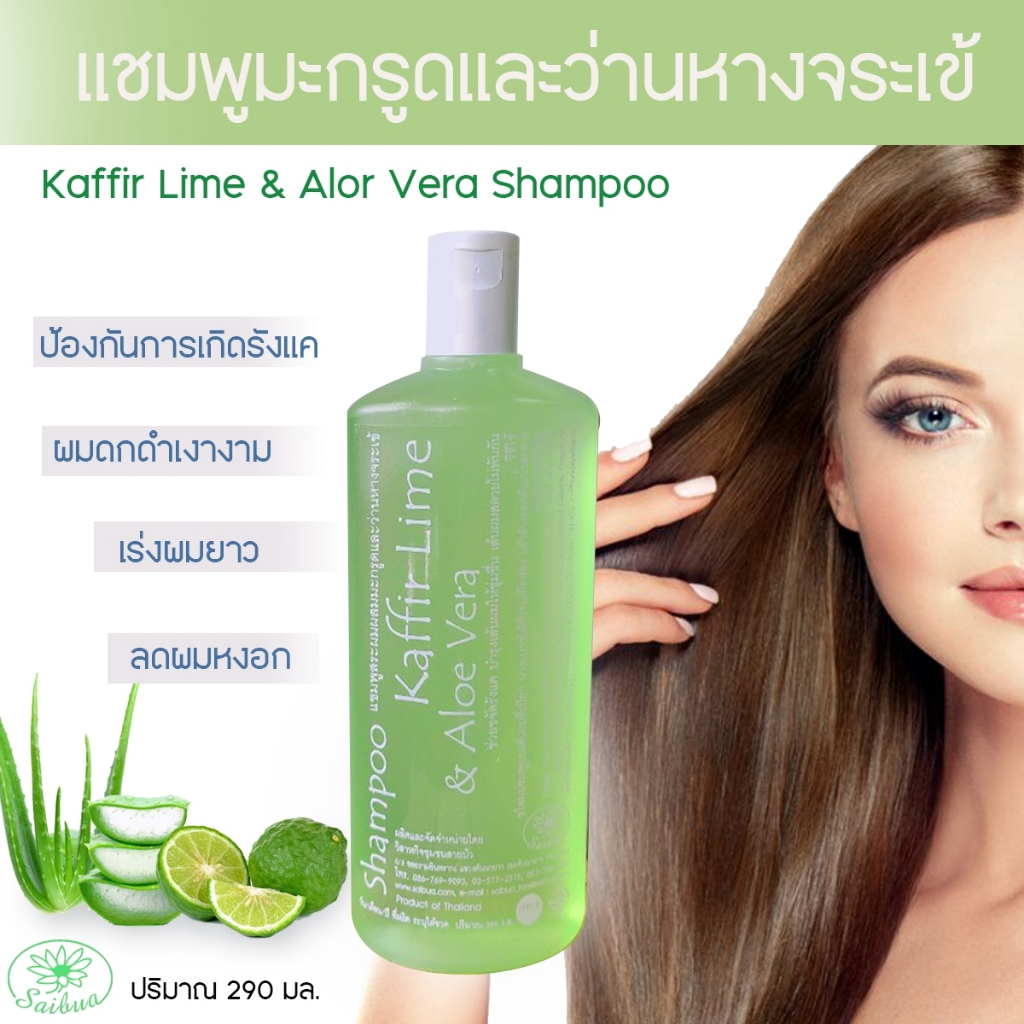 Saibua แชมพูสมุนไพรมะกรูดผสมว่านหางจระเข้  แก้ผมขาดหลุดร่วง ขจัดรังแค 1 ขวด ขนาด 290 มล.