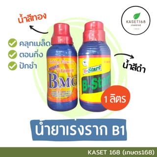 B1 1 ลิตร วิตามินบี น้ำยาเร่งราก