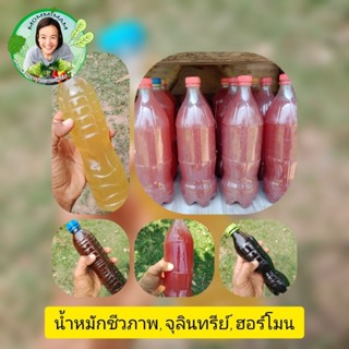 🍶🍶🍶🍶🍶 น้ำหมักชีวภาพ จุลินทรีย์ ฮอร์โมน 🍶🍶🍶🍶🍶