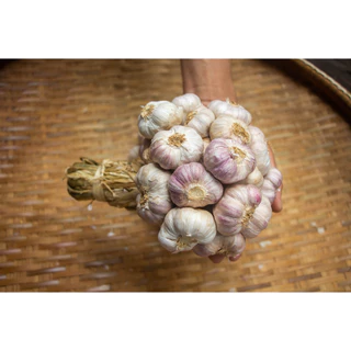 กระเทียมไทยกลีบม่วงศรีสะเกษ 500 กรัม ครึ่งกิโลกรัม คัดพิเศษThai Garlic : 500 -1000g