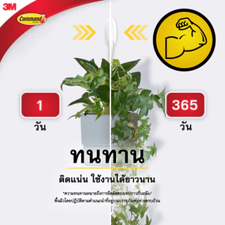 3M™ Command™ คอมมานด์ ตะขออเนกประสงค์ คละไซส์, 17066