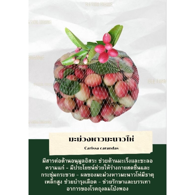 มะม่วงหาวมะนาวโห่ออแกนิค(0.5-1kg)