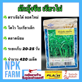 ผักซอง เจียไต๋ ผักบุ้งจีน เรียวไผ่ จำนวน 420 เมล็ด/ซอง เมล็ดพันธุ์ ผักบุ้ง ลอตใหม่ งอกดี โตไว ใบเรียวเล็ก ตลาดนิยม