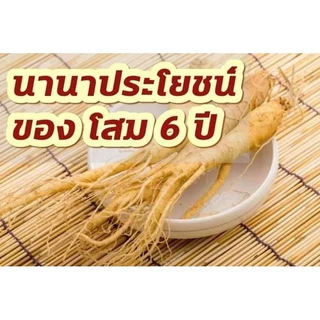 กาแฟโสมคอฟฟี่พลัส ห่อใหญ่ 84 ซอง ห่อเล็ก 40 ซอง