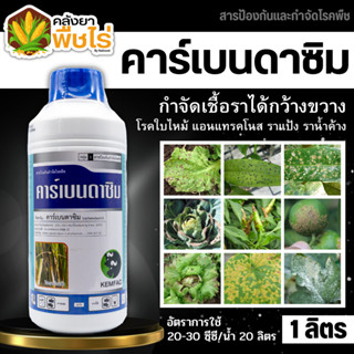 🌽 คาร์เบนดาซิม ตรากระทิงคู่ (คาร์เบนดาซิน50%) 1ลิตร กาบใบแห้ง โรคใบไหม้